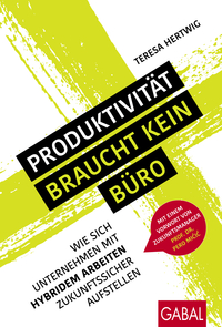 Vorderes Coverbild Produktivität braucht kein Büro