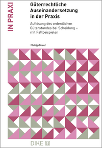 Vorderes Coverbild Güterrechtliche Auseinandersetzung in der Praxis