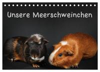 Vorderes Coverbild Unsere Meerschweinchen (Tischkalender 2026 DIN A5 quer), CALVENDO Monatskalender
