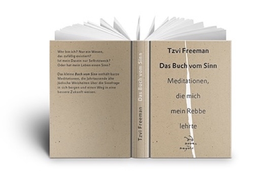 Gesamtes Coverbild Das Buch vom Sinn