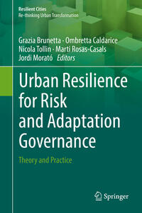 Vorderes Coverbild Urban Resilience for Risk and Adaptation Governance