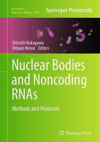 Vorderes Coverbild Nuclear Bodies and Noncoding RNAs