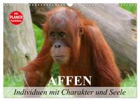 Vorderes Coverbild Affen - Individuen mit Charakter und Seele (Wandkalender 2025 DIN A3 quer), CALVENDO Monatskalender