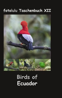 Vorderes Coverbild Birds of Ecuador