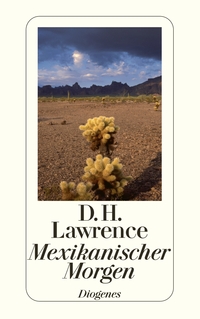 Vorderes Coverbild Mexikanischer Morgen