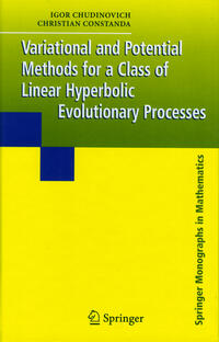 Vorderes Coverbild Variational and Potential Methods for a Class of Linear Hyperbolic Evolutionary Processes