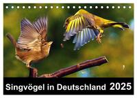 Vorderes Coverbild Singvögel in Deutschland (Tischkalender 2025 DIN A5 quer), CALVENDO Monatskalender