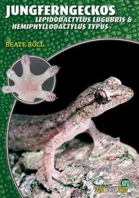 Vorderes Coverbild Jungferngeckos