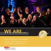 Vorderes Coverbild We are ...