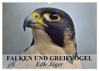 Vorderes Coverbild Falken und Greifvögel. Edle Jäger (Wandkalender 2025 DIN A2 quer), CALVENDO Monatskalender