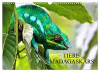 Vorderes Coverbild Tiere Madagaskars (Wandkalender 2026 DIN A3 quer), CALVENDO Monatskalender