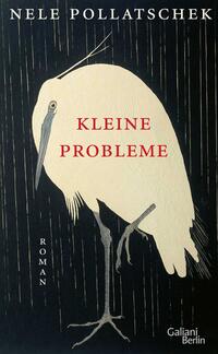 Vorderes Coverbild Kleine Probleme