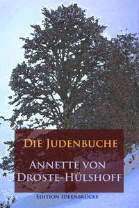Vorderes Coverbild Die Judenbuche