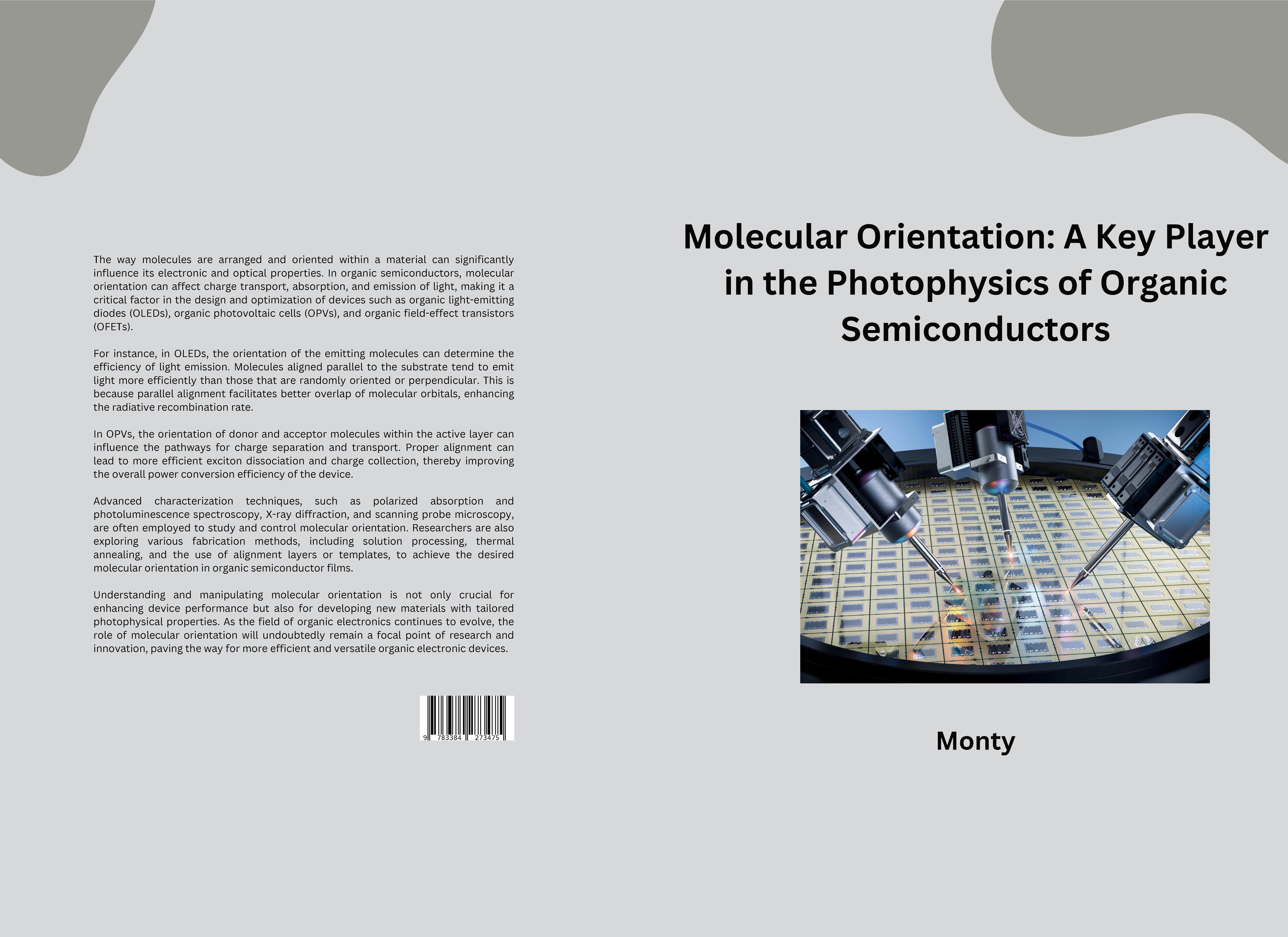 Gesamtes Coverbild Molecular Orientation: A Key Player in the Photophysics of Organic Semiconductors