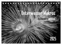 Vorderes Coverbild Unterwasser Makros - schwarz weiss 2025 (Tischkalender 2025 DIN A5 quer), CALVENDO Monatskalender