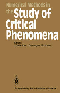 Vorderes Coverbild Numerical Methods in the Study of Critical Phenomena