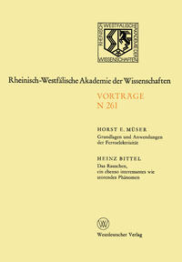 Vorderes Coverbild Grundlagen und Anwendungen der Ferroelektrizität. Das Rauschen, ein ebenso interessantes wie störendes Phänomen
