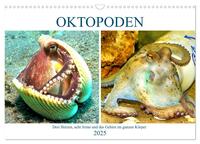 Vorderes Coverbild Oktopoden. Drei Herzen, acht Arme und das Gehirn im ganzen Körper (Wandkalender 2025 DIN A3 quer), CALVENDO Monatskalender
