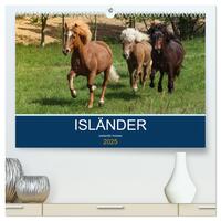 Vorderes Coverbild Isländer - icelandic horses (hochwertiger Premium Wandkalender 2025 DIN A2 quer), Kunstdruck in Hochglanz