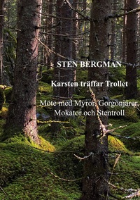 Vorderes Coverbild Karsten träffar Trollet