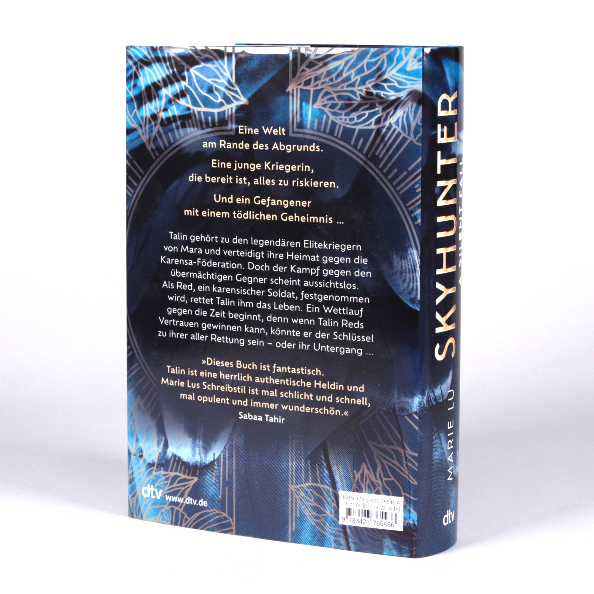 Beispielinhalt (Bild) Skyhunter – A Silent Fall