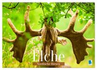 Vorderes Coverbild Elche: Nordische Riesen (Wandkalender 2025 DIN A2 quer), CALVENDO Monatskalender