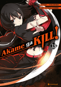 Vorderes Coverbild Akame ga KILL! 13