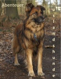 Vorderes Coverbild Abenteuer Auslandshunde