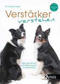 Vorderes Coverbild Verstärker verstehen