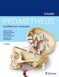 Vorderes Coverbild PROMETHEUS LernPaket Anatomie Schädel