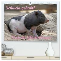 Vorderes Coverbild Schwein gehabt! (hochwertiger Premium Wandkalender 2026 DIN A2 quer), Kunstdruck in Hochglanz
