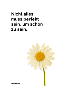 Vorderes Coverbild Nicht alles muss perfekt sein, um schön zu sein
