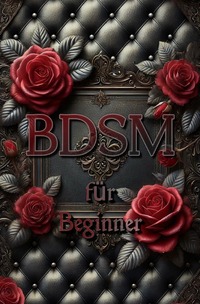 Vorderes Coverbild BDSM für Beginner