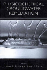 Vorderes Coverbild Physicochemical Groundwater Remediation