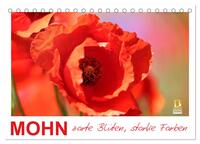 Vorderes Coverbild Mohn, zarte Blüten, starke Farben (Tischkalender 2025 DIN A5 quer), CALVENDO Monatskalender