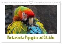 Vorderes Coverbild Kunterbunte Papageien und Sittiche (Wandkalender 2025 DIN A4 quer), CALVENDO Monatskalender