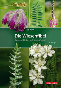 Vorderes Coverbild Die Wiesenfibel