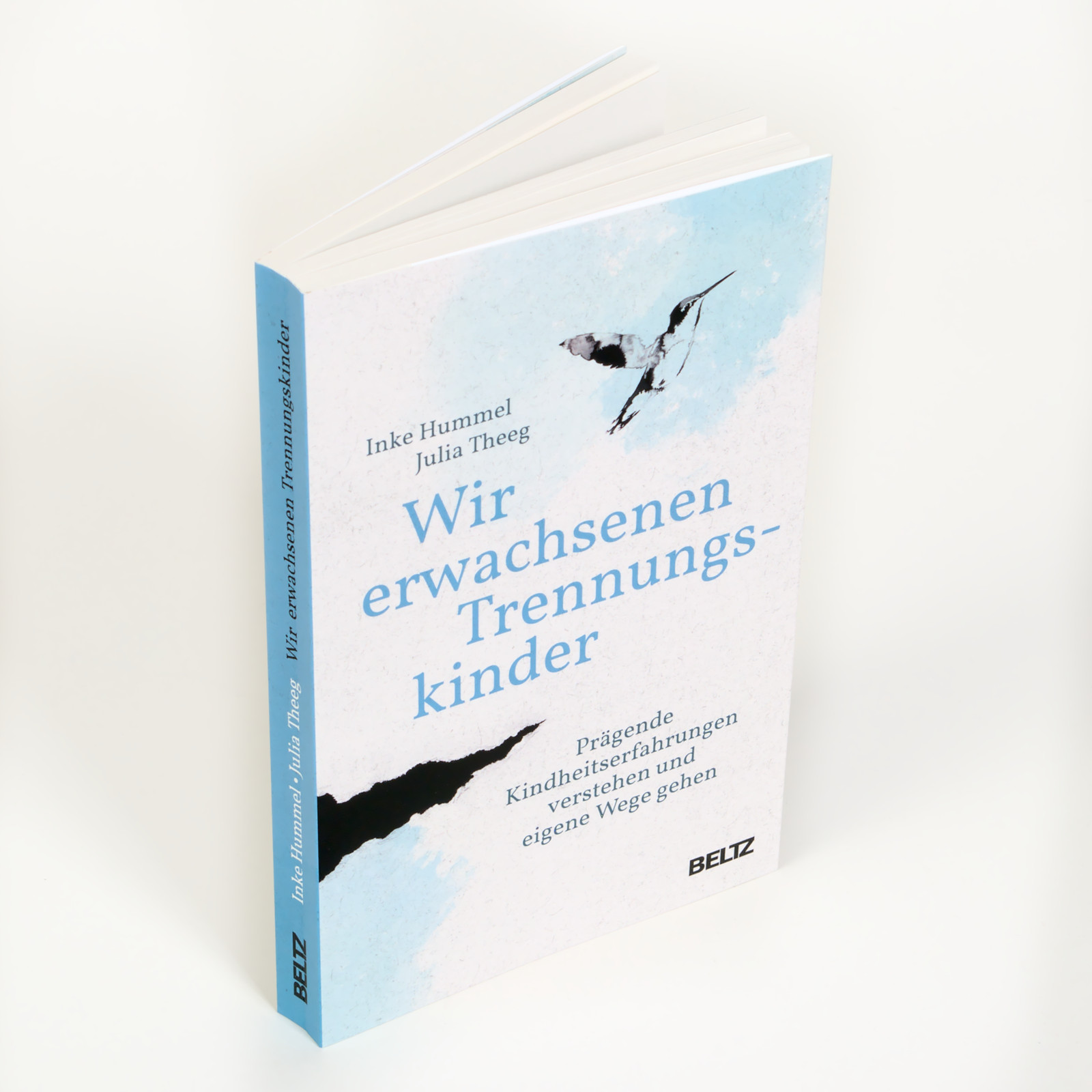 Anderes Coverbild Wir erwachsenen Trennungskinder