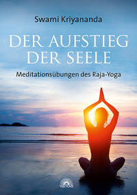 Vorderes Coverbild Der Aufstieg der Seele