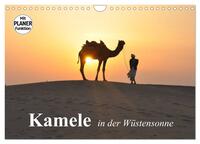 Vorderes Coverbild Kamele in der Wüstensonne (Wandkalender 2026 DIN A4 quer), CALVENDO Monatskalender