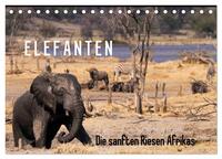 Vorderes Coverbild Elefanten - Die sanften Riesen Afrikas (Tischkalender 2025 DIN A5 quer), CALVENDO Monatskalender