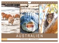 Vorderes Coverbild Australien, tierischer Kontinent (Wandkalender 2025 DIN A4 quer), CALVENDO Monatskalender