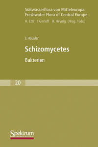 Vorderes Coverbild Süßwasserflora von Mitteleuropa, Bd. 20: Schizomycetes