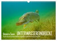 Vorderes Coverbild Unsere Seen (Wandkalender 2025 DIN A3 quer), CALVENDO Monatskalender
