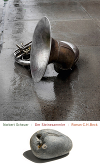 Vorderes Coverbild Der Steinesammler