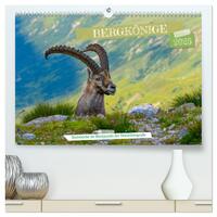Vorderes Coverbild Bergkönige - Steinböcke im Blickpunkt der Naturfotografie (hochwertiger Premium Wandkalender 2025 DIN A2 quer), Kunstdruck in Hochglanz