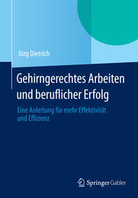 Vorderes Coverbild Gehirngerechtes Arbeiten und beruflicher Erfolg