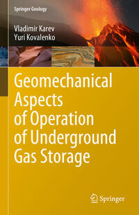 Vorderes Coverbild Geomechanical Aspects of Operation of Underground Gas Storage