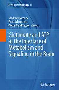 Vorderes Coverbild Glutamate and ATP at the Interface of Metabolism and Signaling in the Brain