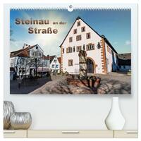 Vorderes Coverbild Steinau an der Straße (hochwertiger Premium Wandkalender 2025 DIN A2 quer), Kunstdruck in Hochglanz
